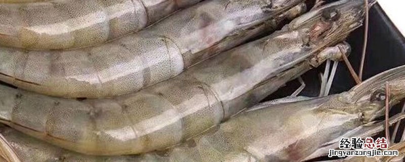 4050虾一盒多少个 4050虾一盒4斤多少只