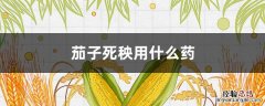 茄子死秧用什么药 茄子死秧用什么药能救活