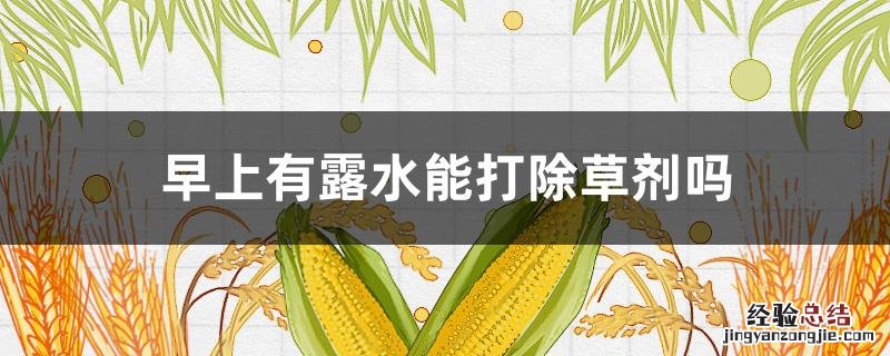 灭草剂早晨有露水能打嘛 早上有露水能打除草剂吗