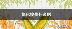 氯化铵是什么肥料品种 氯化铵是什么肥