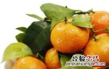 橘和桔子的区别在哪里 橘和桔子的区别