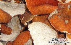 陈皮泡水喝的功效 陈皮泡水喝的功效有哪些