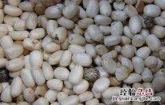 蓖麻油的功效与作用 食用蓖麻油的功效与作用