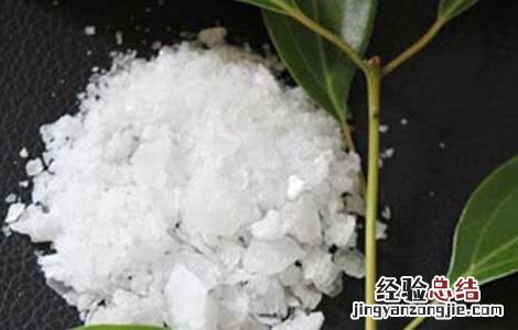 冰片的功效与作用及禁忌 冰片的功效与作用