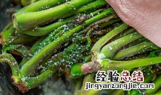 咸的香椿芽怎么做好吃 揉咸香椿