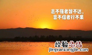 志不强者智不达言不信者行不果的意思 意思如下