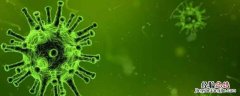 什么是异养生物和寄生生物 什么是异养生物
