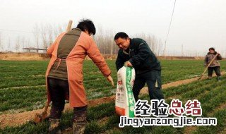 硝态氮冲施肥能不能在麦田使用 硝态氮冲施肥能不能在麦田使用