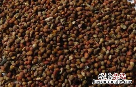 楮实子的功效与作用 威灵仙和楮实子的功效与作用