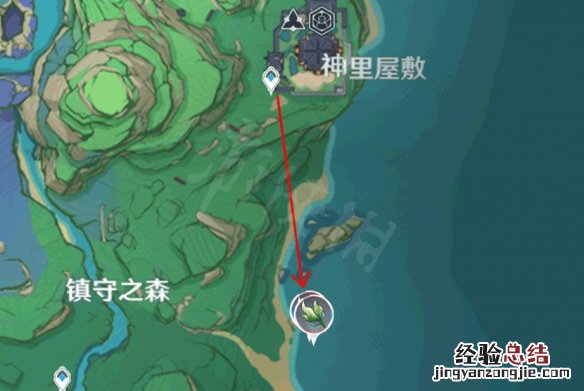 元神海草 原神海草哪里多