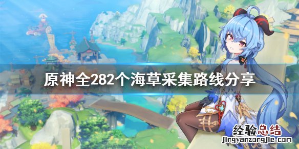 元神海草 原神海草哪里多