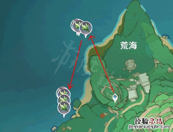 元神海草 原神海草哪里多