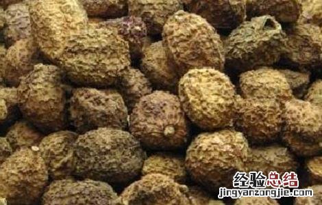 阳春砂的功效与作用的功能与主治 阳春砂的功效与作用