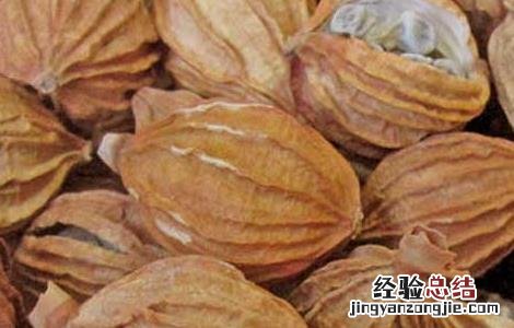 阳春砂的功效与作用的功能与主治 阳春砂的功效与作用