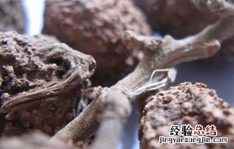 阳春砂的功效与作用的功能与主治 阳春砂的功效与作用