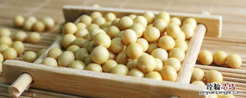 100粒大豆大约多重 一百粒大豆有多重