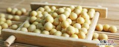 100粒大豆大约多重 一百粒大豆有多重