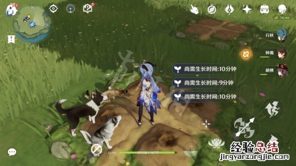 原神梦里生花怎么种花
