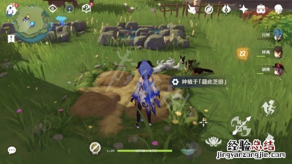 原神梦里生花怎么种花