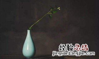 林清玄的著名散文有哪些 林清玄的经典代表作有哪些