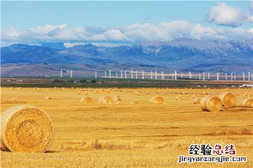 什么是三农服务 三农指的是哪三农服务