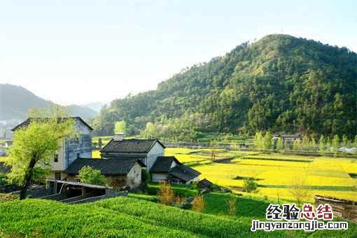 什么是三农工作的主线 什么是三农工作