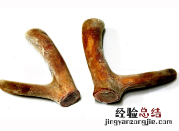 鹿角胶与鹿茸的区别是什么 鹿茸片与鹿角胶的区别