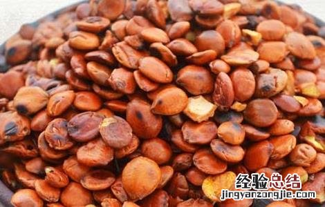 酸枣仁的功效与作用及禁忌 酸枣仁的功效与作用