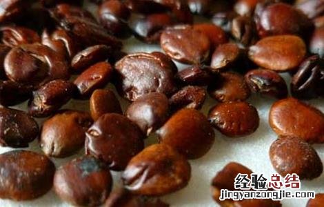 酸枣仁的功效与作用及禁忌 酸枣仁的功效与作用