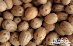 南酸枣糕的功效与作用 南酸枣的功效与作用
