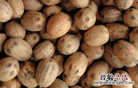南酸枣糕的功效与作用 南酸枣的功效与作用
