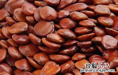 服用酸枣仁有什么副作用 酸枣仁有什么副作用