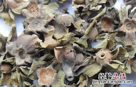 柿蒂的功效与作用 柿蒂的功效与作用的功能与主治