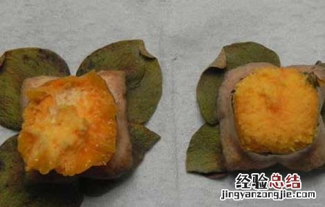 柿蒂的功效与作用 柿蒂的功效与作用的功能与主治