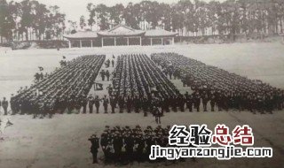 一个师长有多少兵力 一个师长兵力简述