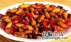 蚕蛹怎么做好吃又营养 蚕蛹如何做好吃又营养