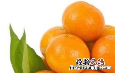 澳柑和澳橘区别 澳橘与普通橘子的区别