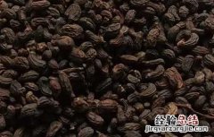 女贞子有哪些副作用 女贞子有什么副作用