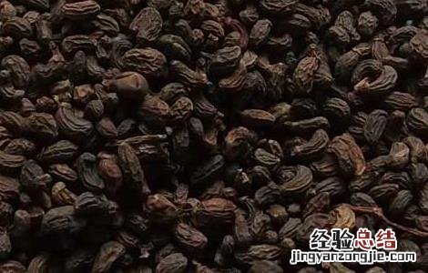 女贞子有哪些副作用 女贞子有什么副作用