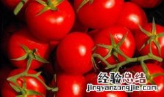 吃西红柿能减肥是真的吗 吃西红柿能减肥