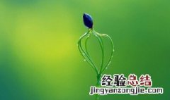 生物酶的作用特点是 生物酶的作用特点