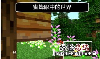 我的世界蜜蜂怎么养 我的世界林业如何养蜂