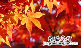 描写秋天丰收景象的四字词语词语 关于秋天丰收景象的四字词语有