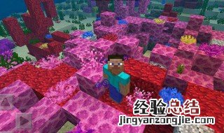 紫颂花怎么种 紫颂花怎么放