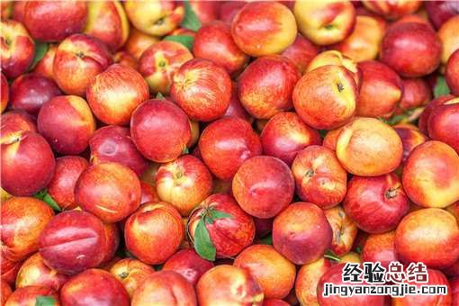 油桃是热性还是凉性水果 油桃是热性还是凉性的水果