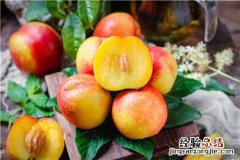 油桃是热性还是凉性水果 油桃是热性还是凉性的水果