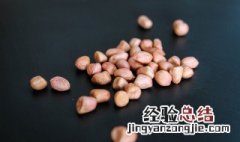 花生怎么保鲜 如何保存花生