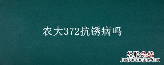 农大372抗锈病吗 农大372抗锈病吗808怎么样