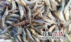 冻基围虾怎么做好吃又简单 冻基围虾怎么做好吃又简单视频