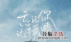 忘记你 记得爱情什么时候更新 忘记你记得爱情每周什么时候播